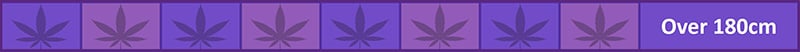 Freedom of Seeds Marijuana Strain 3 Kingdoms Has a Finished Plant Height in cm of over-180cm. Compare the finished heights of all Freedom of Seeds Cannabis Strains with our Strain Statistics Chart.
